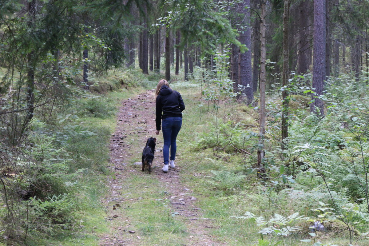 Tips för härligare promenader